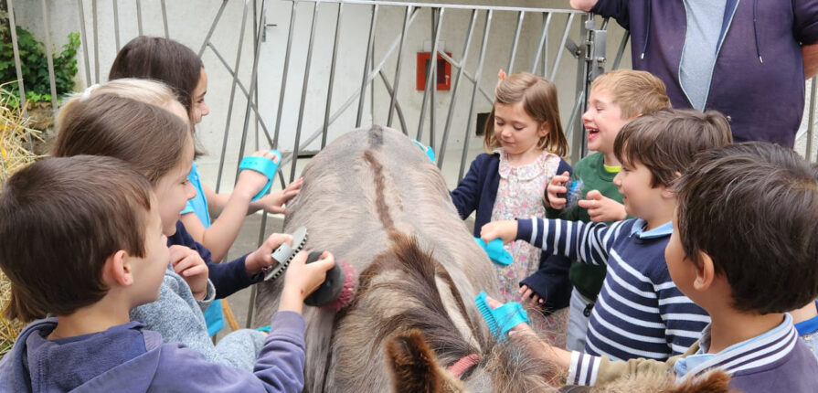 La ferme s'invite à l'école !